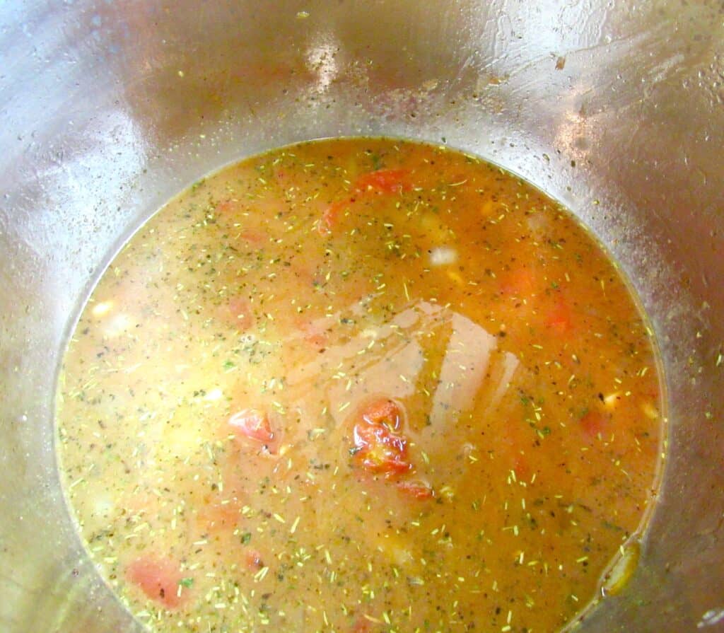 instant pot stock